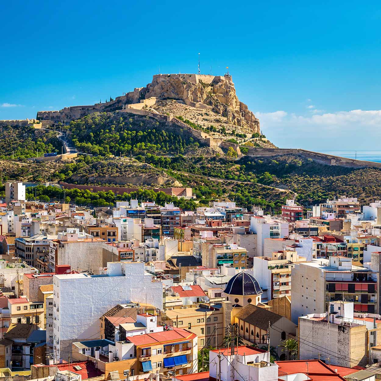 Alicante